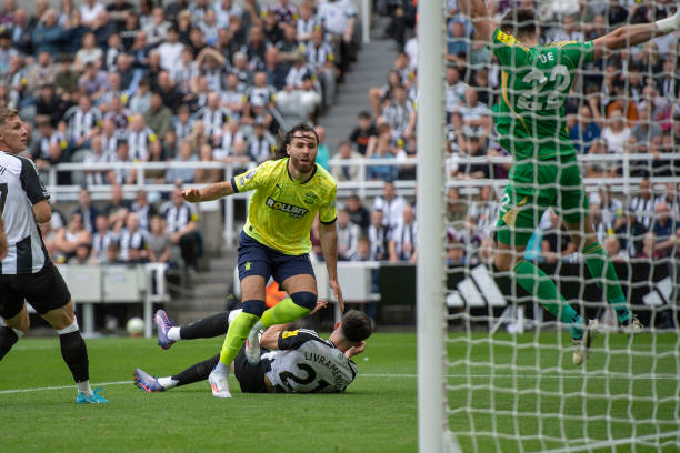 美好的一年 美好的一年