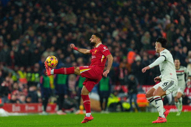 球队更是引 球队更是引